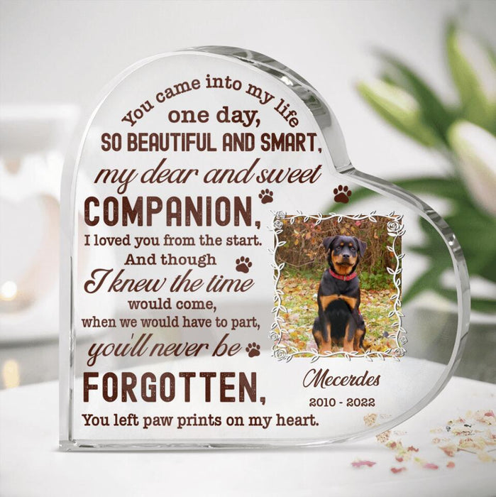 Personalized Photo Pet Loss Acrylic Plaque - Memorial Gift Idea For Pet Lover - Paw Prints On My Heart