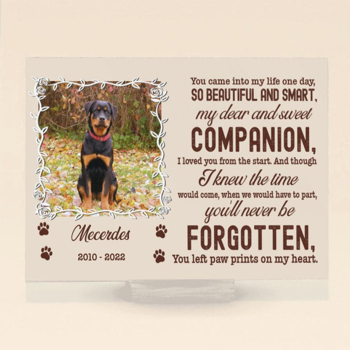 Personalized Custom Photo Pet Loss Acrylic Plaque - Memorial Gift Idea For Pet Lover - Paw Prints On My Heart