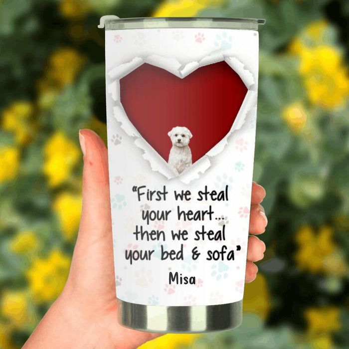 Personalized Dog Tumbler - Gift for Dog Lovers - Up to 3 Dogs - First we steal your heart