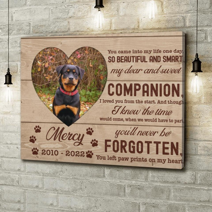 Personalized Custom Photo Pet Loss Canvas - Memorial Gift Idea For Pet Lover - Paw Prints On My Heart