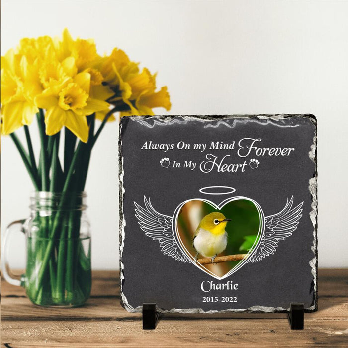 Personalized Memorial Bird Square Lithograph - Gift Idea For Bird Lovers - Always On My Mind Forever In My Heart