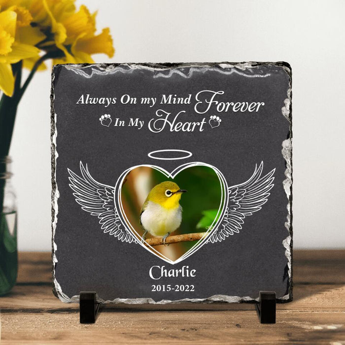 Personalized Memorial Bird Square Lithograph - Gift Idea For Bird Lovers - Always On My Mind Forever In My Heart
