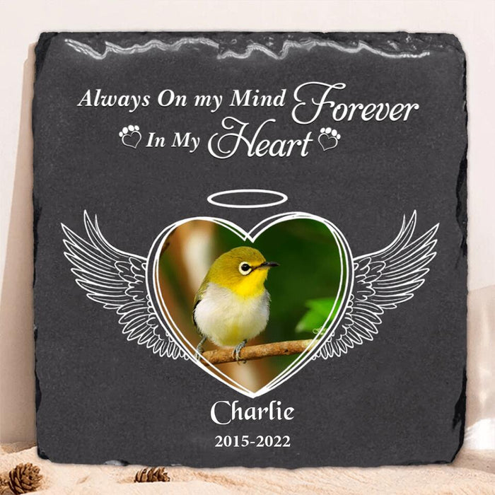 Personalized Memorial Bird Square Lithograph - Gift Idea For Bird Lovers - Always On My Mind Forever In My Heart