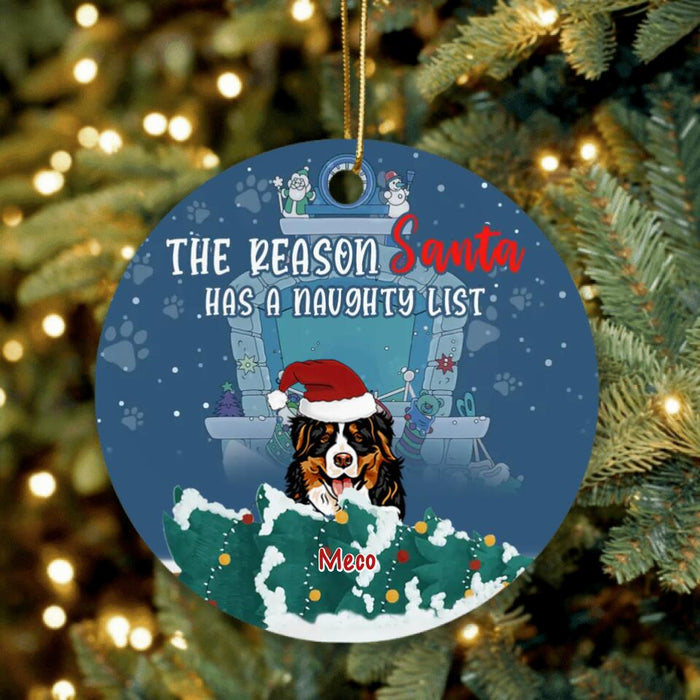 Personalized Christmas Naughty Pets Ornament - Up to 5 Dogs/Cats - Christmas Gift For Dog/Cat Lovers - The Reason Santa Has A Naughty List