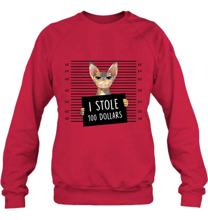 Personalized Bad Cat Shirt/Pullover Hoodie - Up to 2 Cats - Gift Idea For Cat Lover - Yes, We're Aware Of How Obnoxious