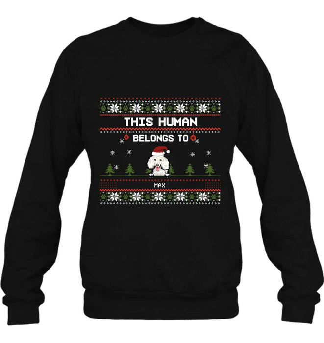 Personalized Dog Mom T-shirt/Long Sleeve/Sweatshirt/Hoodie - Up to 5 Dogs - Christmas Gift For Dog Lover - This Human Belongs To
