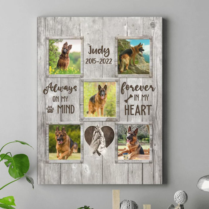 Personalized Memorial Pet Canvas - Upload 5 Photos - Memorial Gift For Loss Of Pet - Always On My Mind Forever In My Heart
