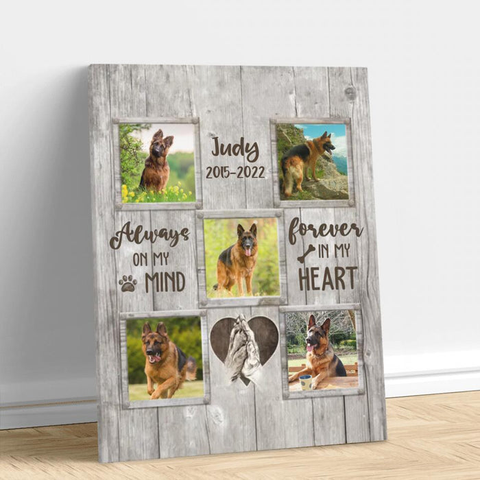 Personalized Memorial Pet Canvas - Upload 5 Photos - Memorial Gift For Loss Of Pet - Always On My Mind Forever In My Heart