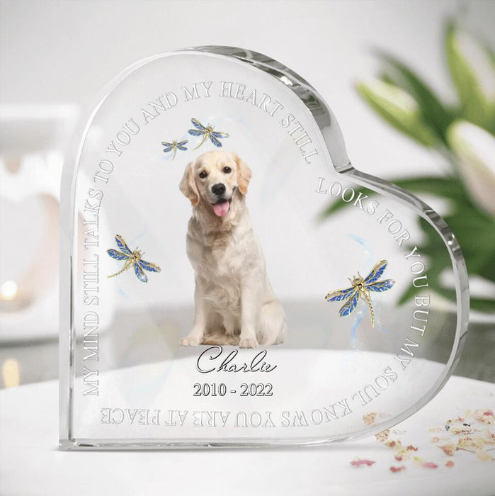 Personalized Memorial Pets Photo Acrylic Plaque - Upload Photo - My Mind Still Talks To You And My Heart Still