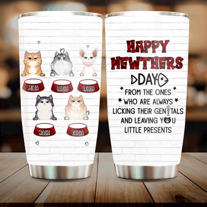 Personalized Cats Tumbler - Up to 5 Cats - Best Gift Idea For Cat Lovers - Happy Mewthers Day