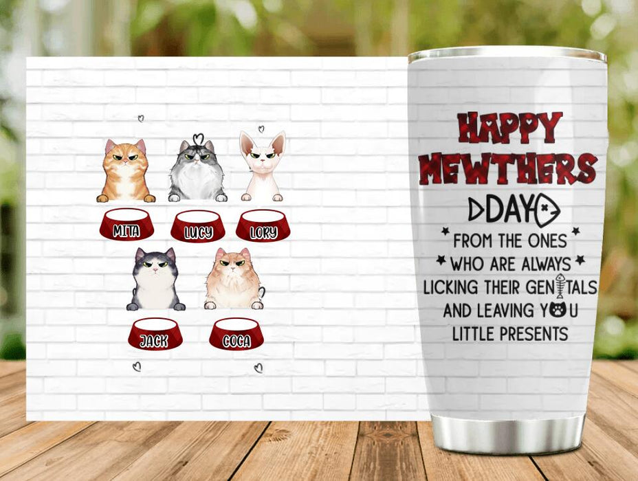Personalized Cats Tumbler - Up to 5 Cats - Best Gift Idea For Cat Lovers - Happy Mewthers Day