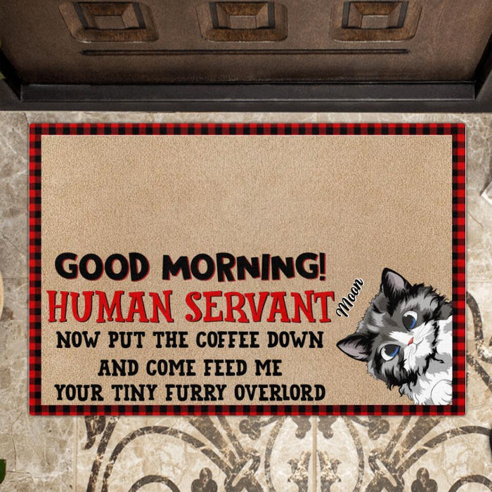 Personalized Cat Doormat - Gift Idea For Cat Lovers with up to 5 Cats - Human Servant Now Put The Coffee Down And Come Feed Me Your Tiny Furry Overlord