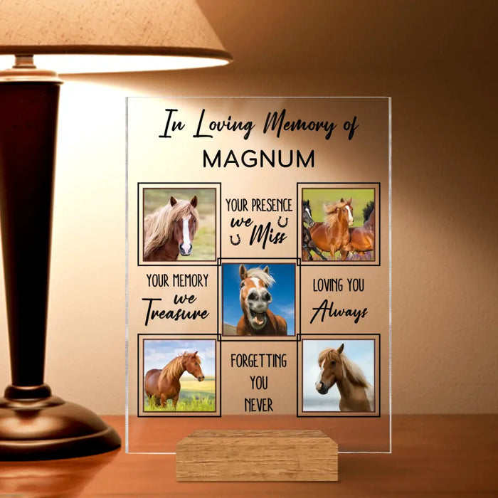 Personalized Memorial Acrylic Plaque - Upload Horse Photo - Memorial Gift Idea - We Miss Your Memory