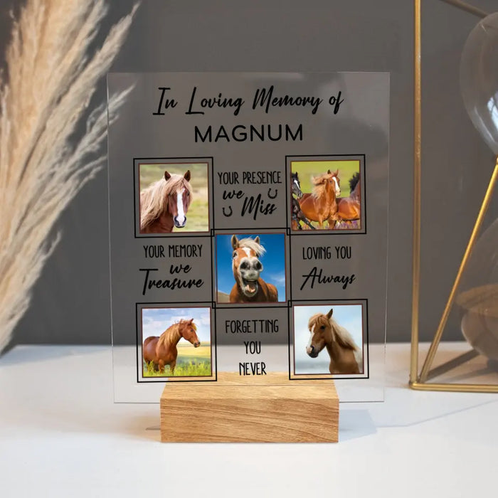 Personalized Memorial Acrylic Plaque - Upload Horse Photo - Memorial Gift Idea - We Miss Your Memory
