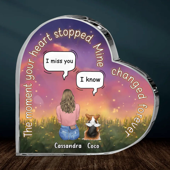 Personalized Memorial Pet Crystal Heart - Memorial Gift Idea For Pet Lover - Up to 4 Pets - Gift Idea For Couple/Dog/Cat Lover - The Moment Your Heart Stopped Mine Changed Forever