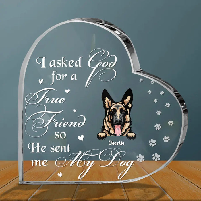 Personalized Pet Acrylic Plaque - Father's Day/Mother's Day Gift Idea for Dog/Cat Lovers - I Asked God For A True Friend So He Sent Me My Dog