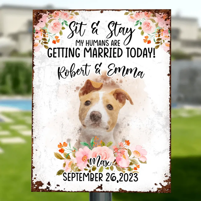 Personalized Dog Wedding Metal Sign - Upload Photo - Wedding Gift Idea For Couple/Dog Lover -  Sit & Stay My Humans Are Getting Married Today