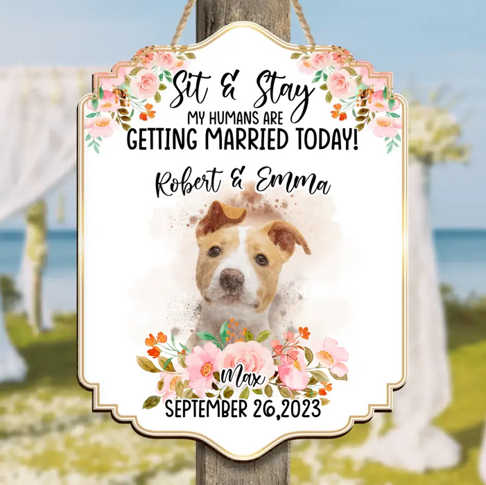 Personalized Dog Wedding Wooden Sign - Upload Photo - Wedding Gift Idea For Couple/Dog Lover - Sit & Stay My Humans Are Getting Married Today
