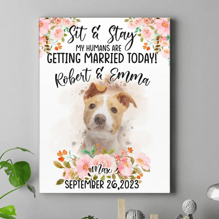 Personalized Dog Wedding Canvas - Upload Photo - Wedding Gift Idea For Couple/Dog Lover - Sit & Stay My Humans Are Getting Married Today!