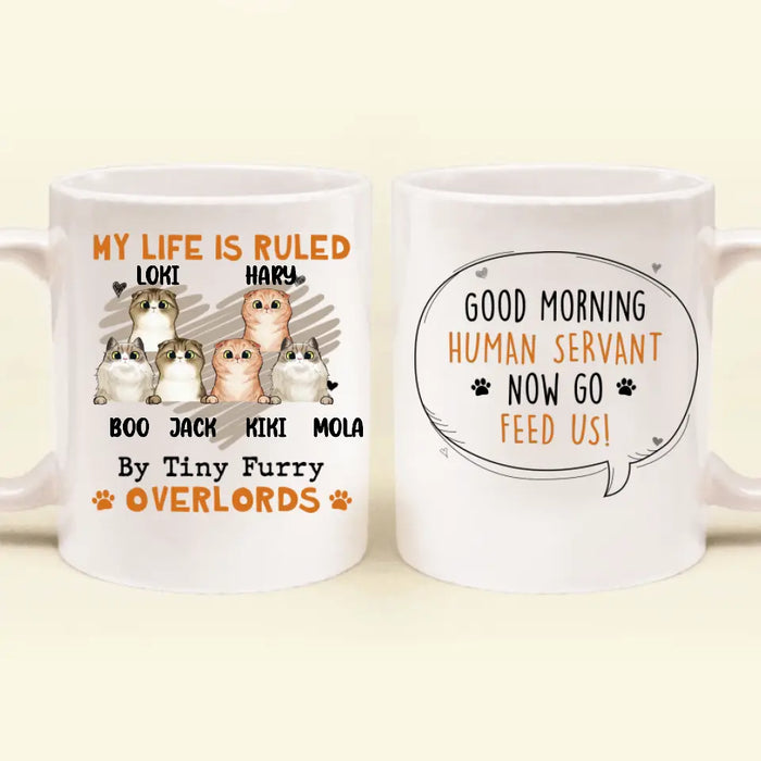 Personalized Cats Coffee Mug - Up to 6 Cats - Best Gift Idea For Cat Lovers - Good Morning Human Servant Now Go Feed Us!