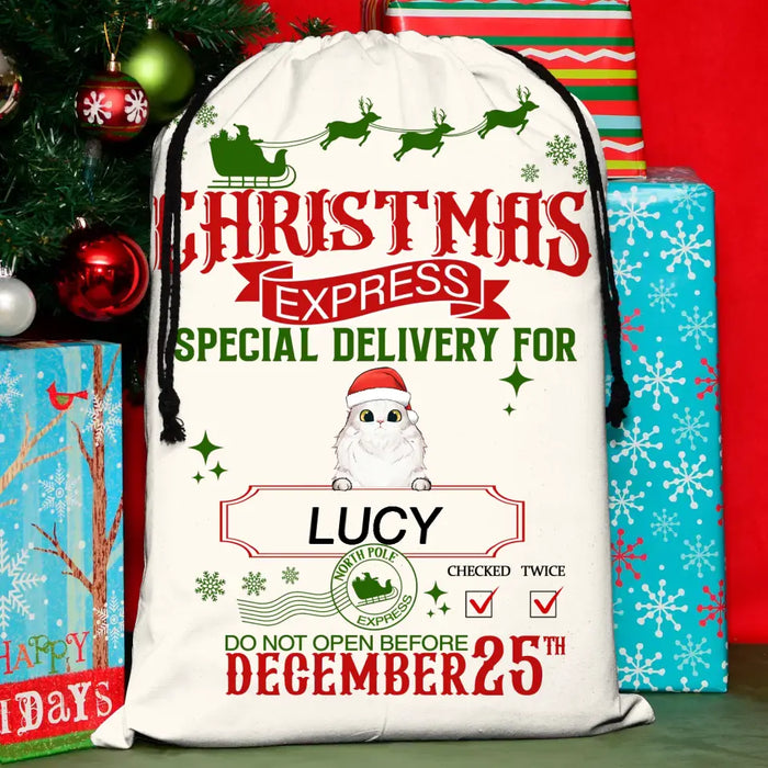 Personalized Pet Santa Sack - Gift Idea For Christmas/Pet Lovers - Up to 4 Pets  - Christmas Express Special Delivery