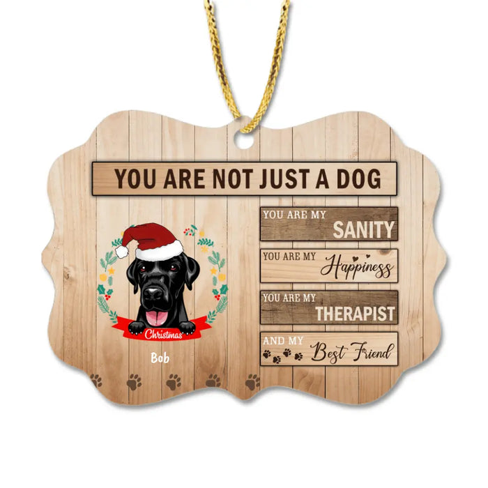 Personalized Pet Rectangle Ornament - Best Idea For Christmas - You Are Not Just A Dog