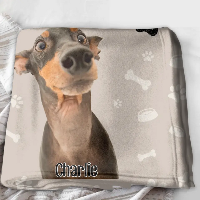 Personalized Pet Photo Quilt/Fleece Throw Blanket - Gift For Pet Lover - Up to 3 Pets - I Will Just Keep Staring At You