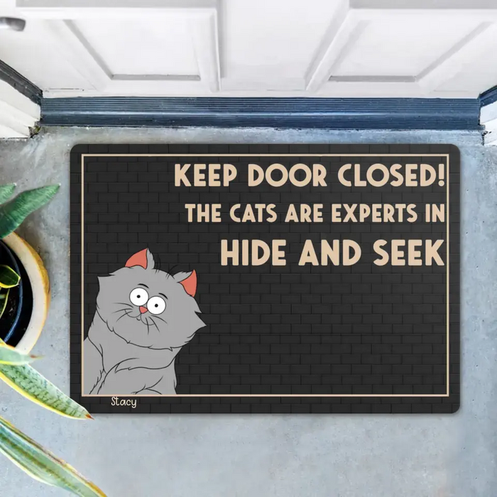 Personalized Cat Doormat - Up to 6 Cats - Gift Idea For Cat Lover - Keep Door Closed! The Cats Are Experts In Hide And Seek