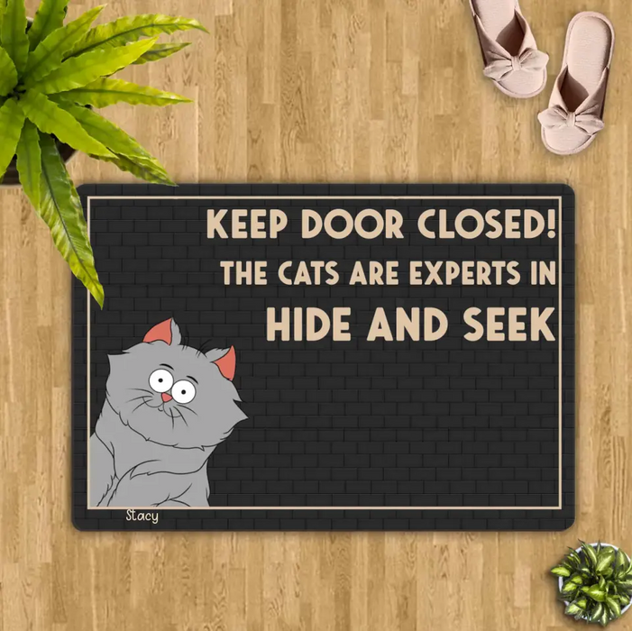 Personalized Cat Doormat - Up to 6 Cats - Gift Idea For Cat Lover - Keep Door Closed! The Cats Are Experts In Hide And Seek