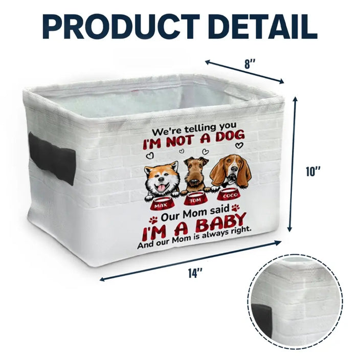 Personalized I'm Not A Cat Storage Box - Up to 10 Dogs/Cats - Gift Idea for Pet Lovers - My Mom Said I'm A Baby