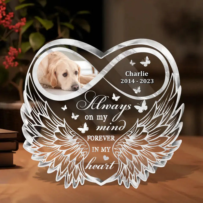 Personalized Memorial Photo Acrylic Plaque - Mother's Day Memorial Gift Idea For Pet Lover - Upload Photo - Always On My Mind Forever In My Heart