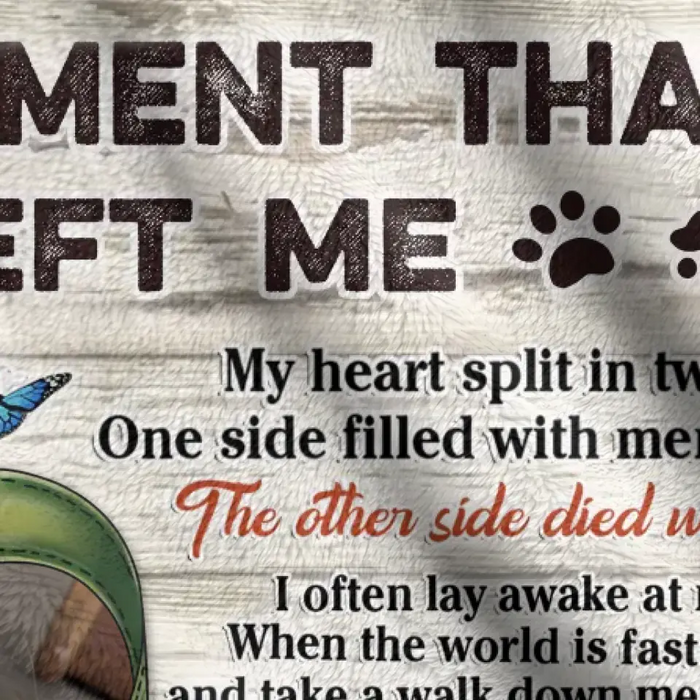 Personalized Memorial Pet Collar Fleece Throw/Quilt Blanket - Upload Photo - Memorial Gift Idea For Dog/Cat Lover - The Moment That You Left Me