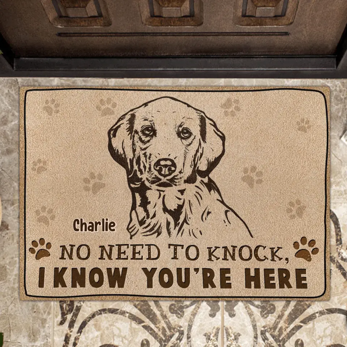 Personalized Welcome Doormat - Upload Pet's Photos - Gift Idea For Dog Lover - No Need To Knock I Know You're Here