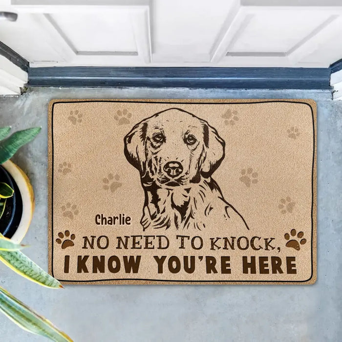 Personalized Welcome Doormat - Upload Pet's Photos - Gift Idea For Dog Lover - No Need To Knock I Know You're Here