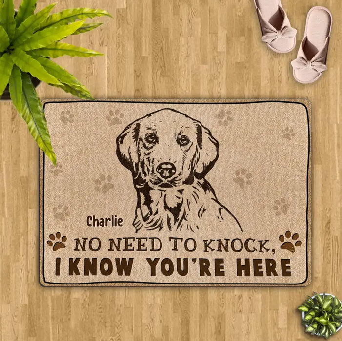 Personalized Welcome Doormat - Upload Pet's Photos - Gift Idea For Dog Lover - No Need To Knock I Know You're Here
