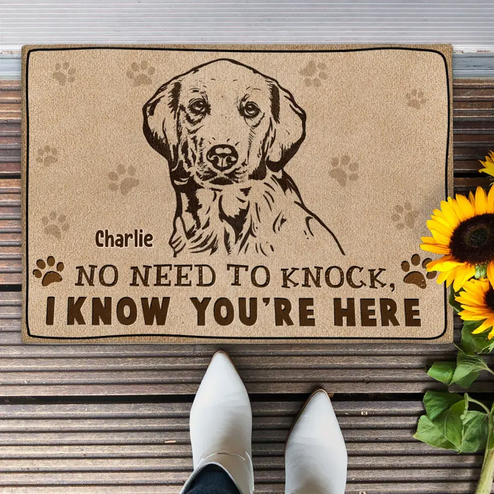 Personalized Welcome Doormat - Upload Pet's Photos - Gift Idea For Dog Lover - No Need To Knock I Know You're Here