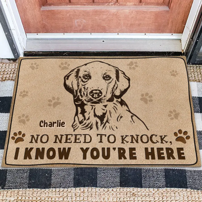 Personalized Welcome Doormat - Upload Pet's Photos - Gift Idea For Dog Lover - No Need To Knock I Know You're Here