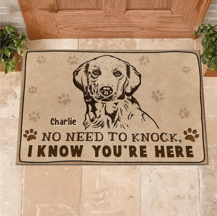 Personalized Welcome Doormat - Upload Pet's Photos - Gift Idea For Dog Lover - No Need To Knock I Know You're Here