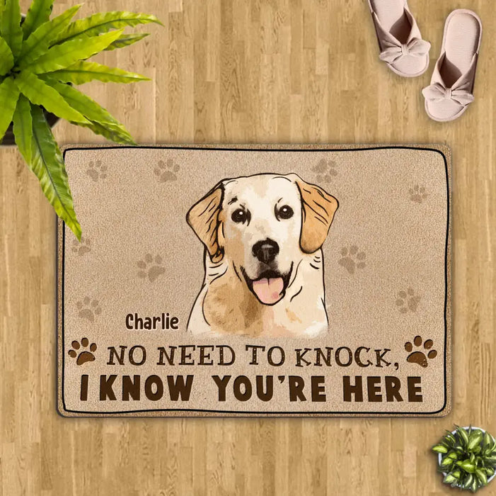 Personalized Welcome Doormat - Upload Pet's Photos - Gift Idea For Dog Lover - No Need To Knock We Know You're Here