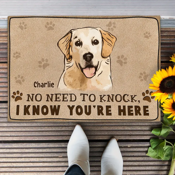 Personalized Welcome Doormat - Upload Pet's Photos - Gift Idea For Dog Lover - No Need To Knock We Know You're Here