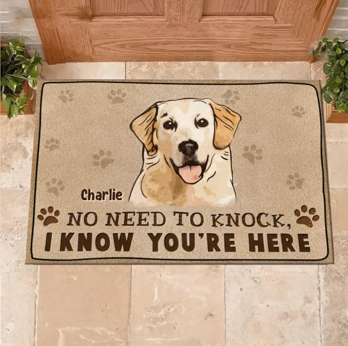 Personalized Welcome Doormat - Upload Pet's Photos - Gift Idea For Dog Lover - No Need To Knock We Know You're Here
