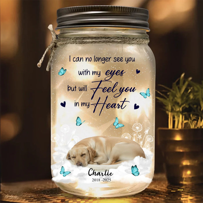 Personalized Memorial Mason Jar Light - I Can No Longer See You With My Eyes But Will Feel You In My Heart - Memorial Gift Idea For Pet Lover - Upload Photo